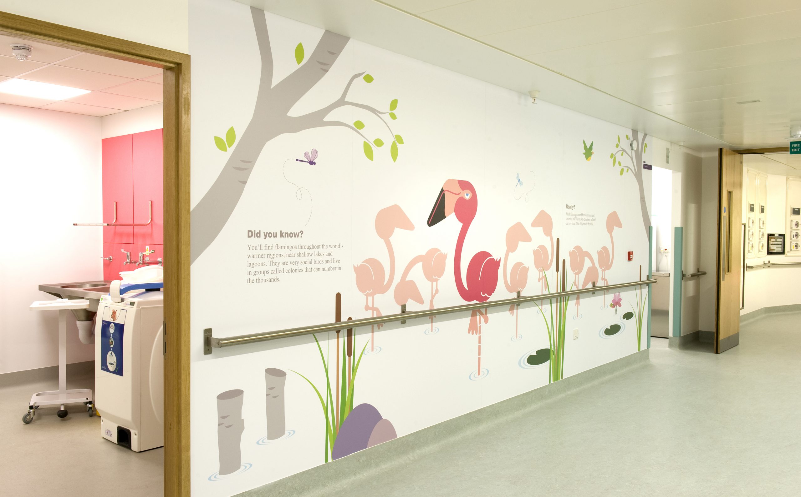 Wallpaper Mural — Zoe Design Works