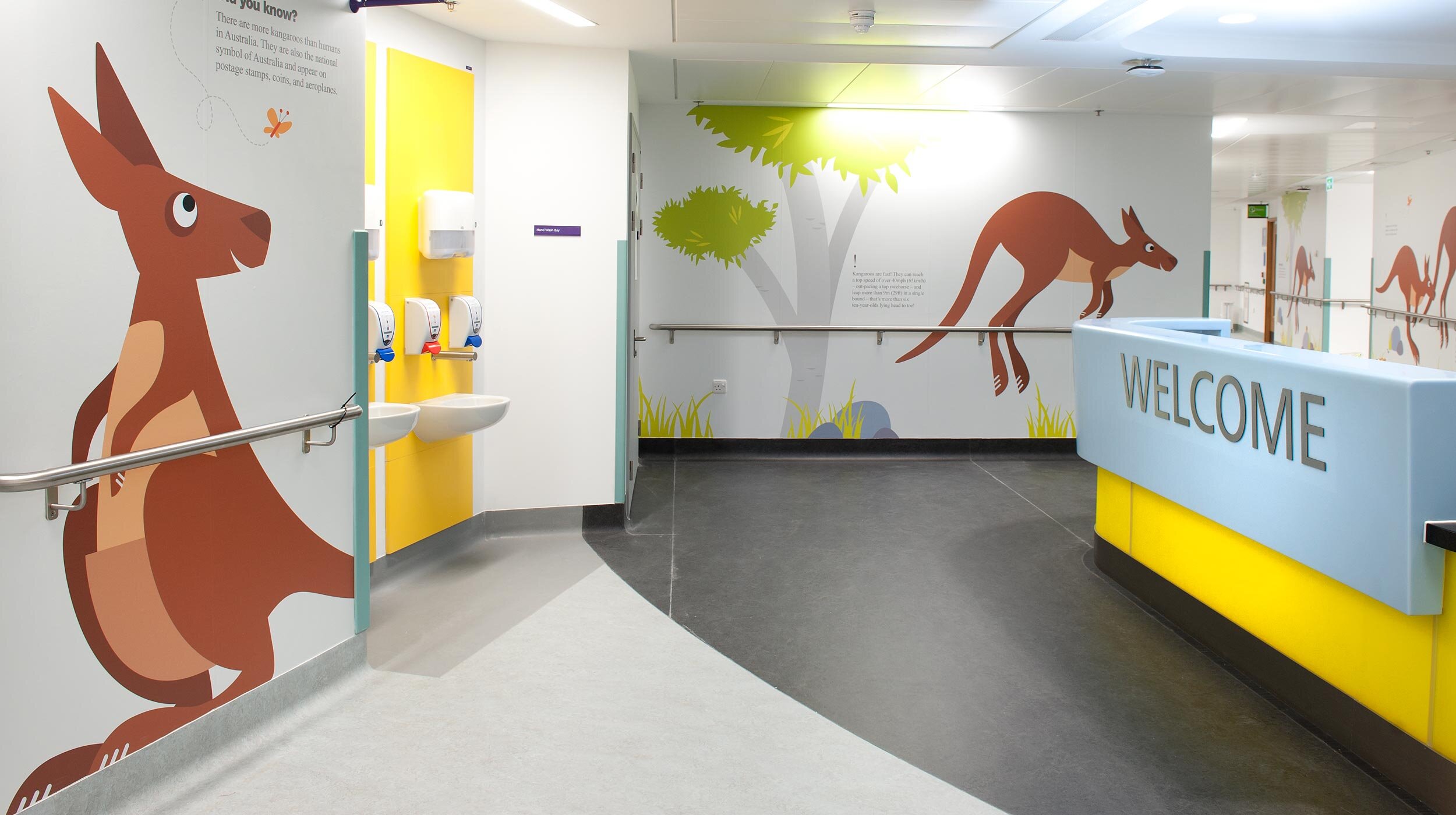 Reception | Area | Wall | Design | Mural | Art | Project | For | Hospitals | Branding | and | Graphic | Design | Cambridge | Sable | and | Hawkes