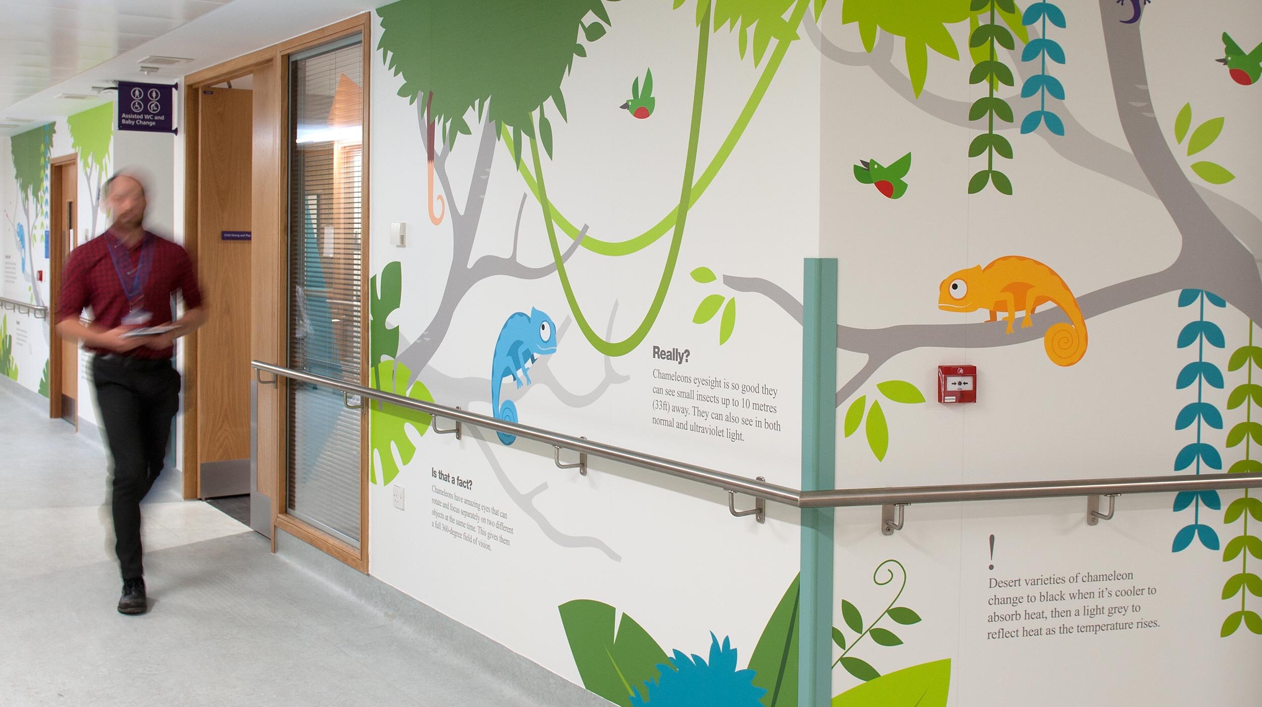 Illustration | For | Interior | Design | Hospital | Environment | Project | Branding | and | Graphic | Design | Cambridge | Sable | and | Hawkes