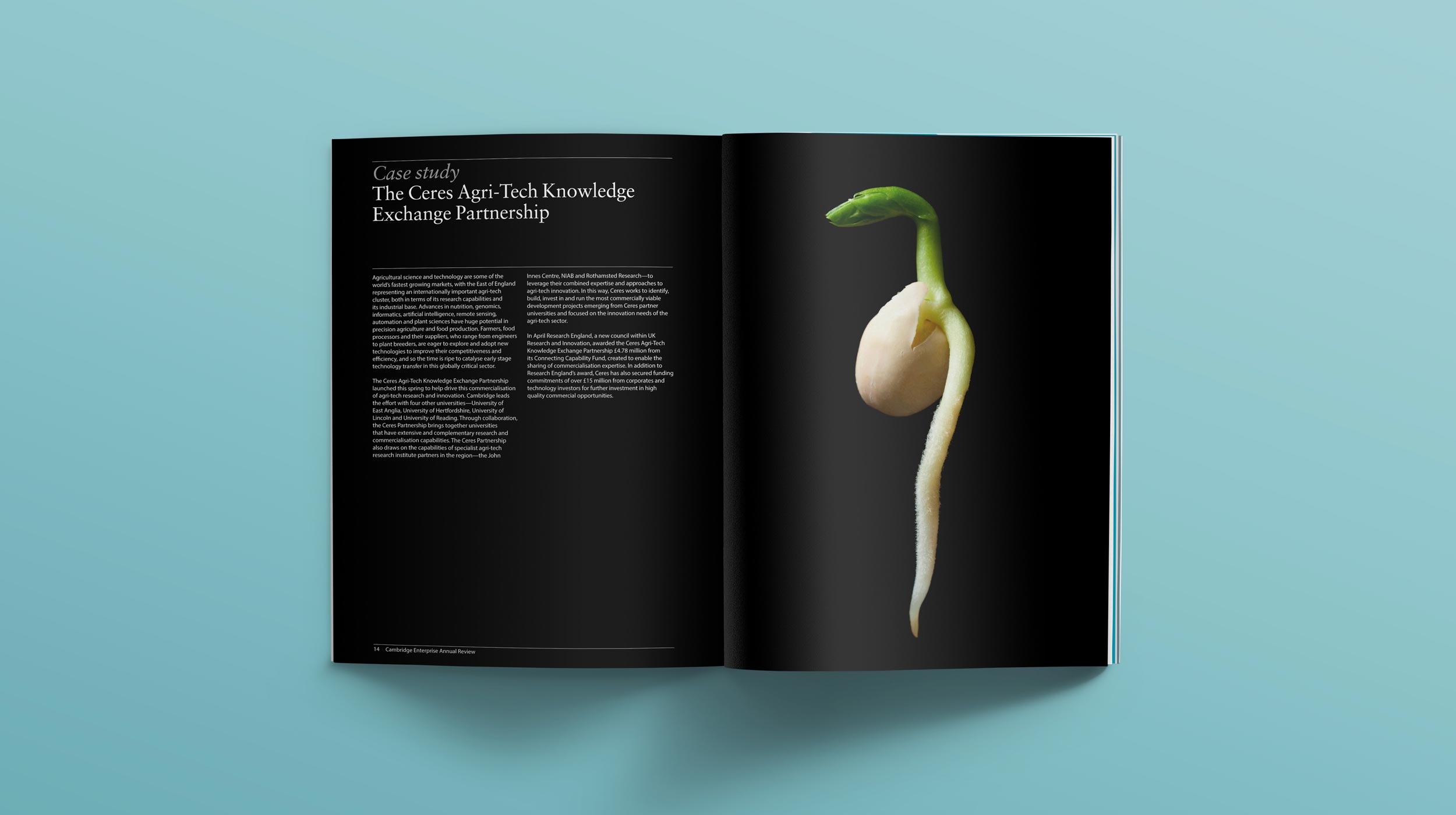 University Brochure Spread Design | Branding | Graphic Design | Copywriter | Cambridge | Sable and Hawkes