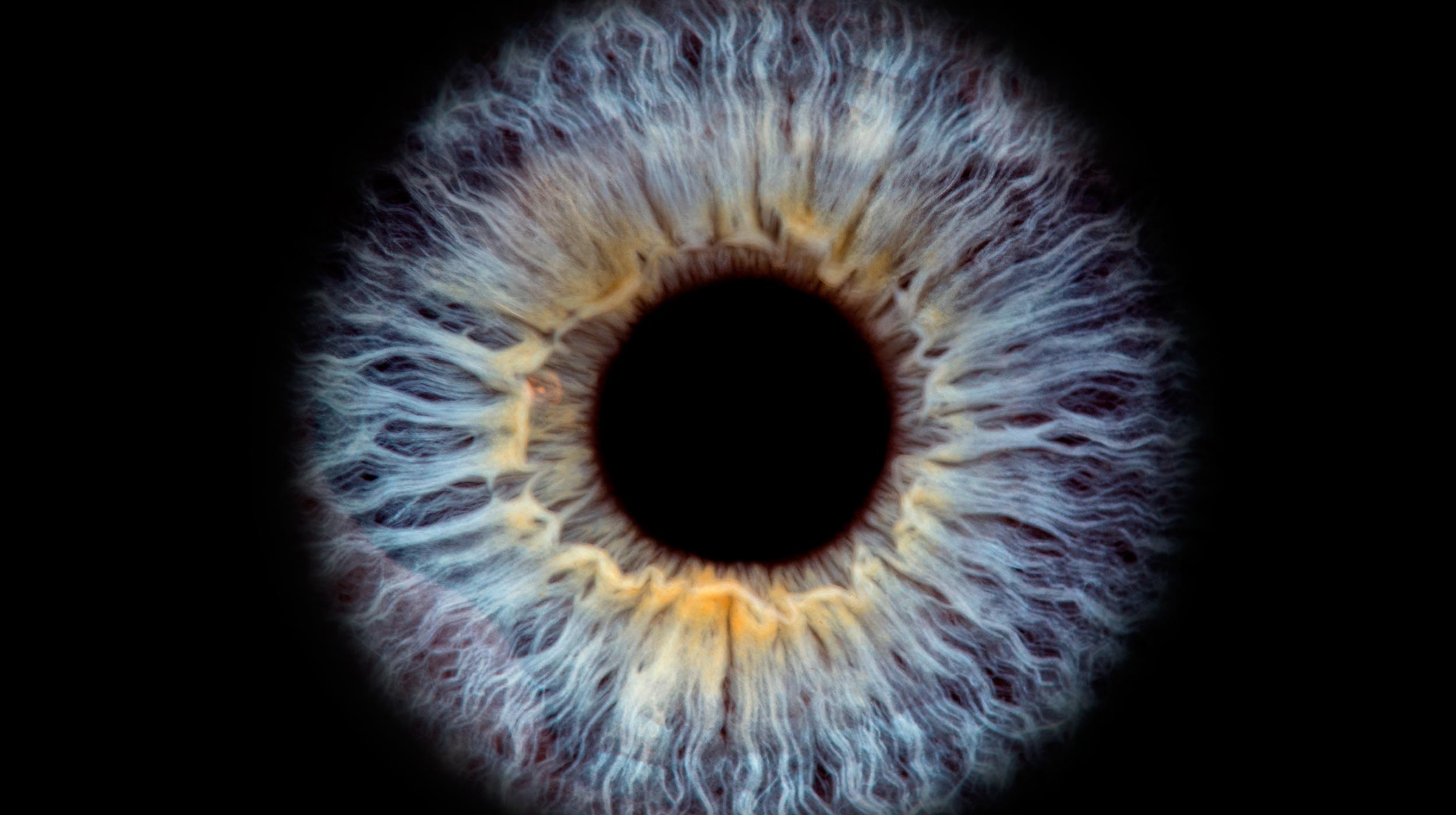 Photography For Cambridge University | Art Direction | Branding | Graphic Design | Copywriter | Cambridge | Sable and Hawkes