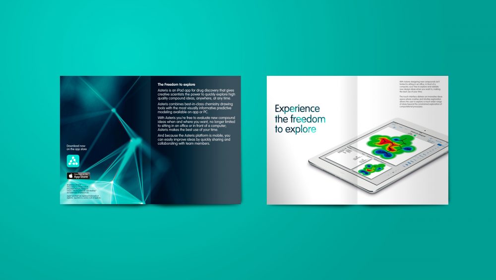 Advertising and Flier Branding For Start Up | Graphic Design | Copywriter | Cambridge | Sable and Hawkes