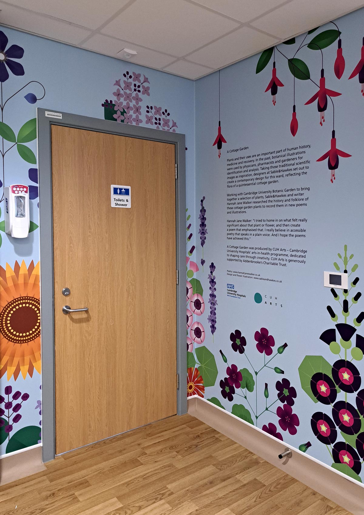 Art & Design in NHS Healthcare: New Ward Environment Design