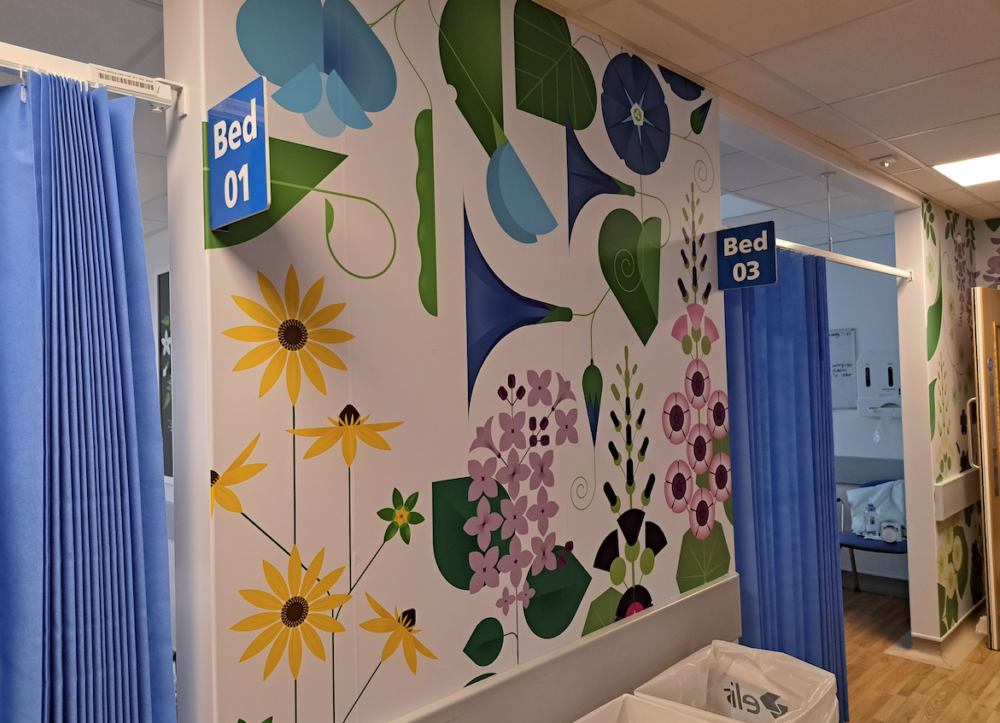 NHS creative arts project installation