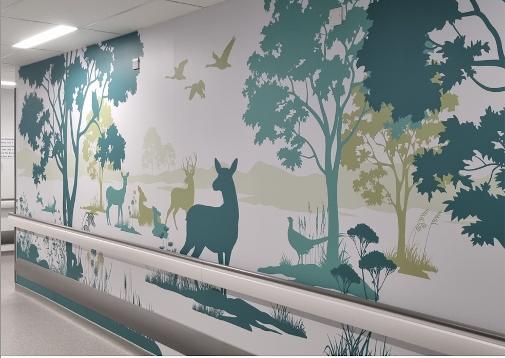 Sable&Hawkes is an in-house team of designers and illustrators with over 20 years’ experience delivering NHS environment schemes. We manage every stage of the process — from brief and concept through to production and installation — providing one accountable team and a complete environment design service.