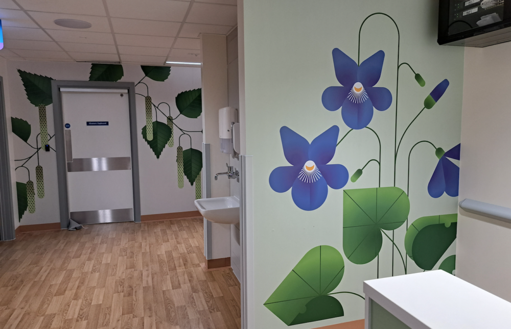 Sable&Hawkes deliver a complete NHS environment design service from creative theme to creative design, production, supplier and installation management. With over 20yrs technical experience working with NHS development and arts teams, project managing all aspects of the brief, production and installation of NHS art and designed-environment projects.