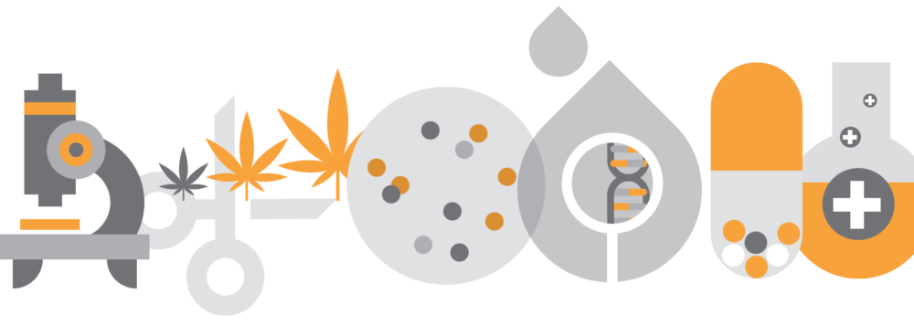 Life Science, Pharma and Biotech marketing design services, product illustration and process infographics